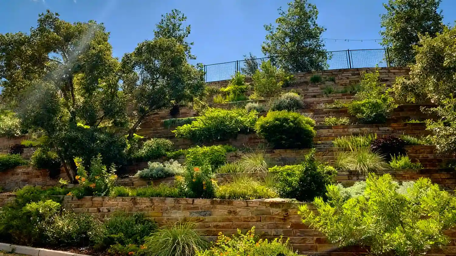 Cat-Mountain-Project-15 (1)