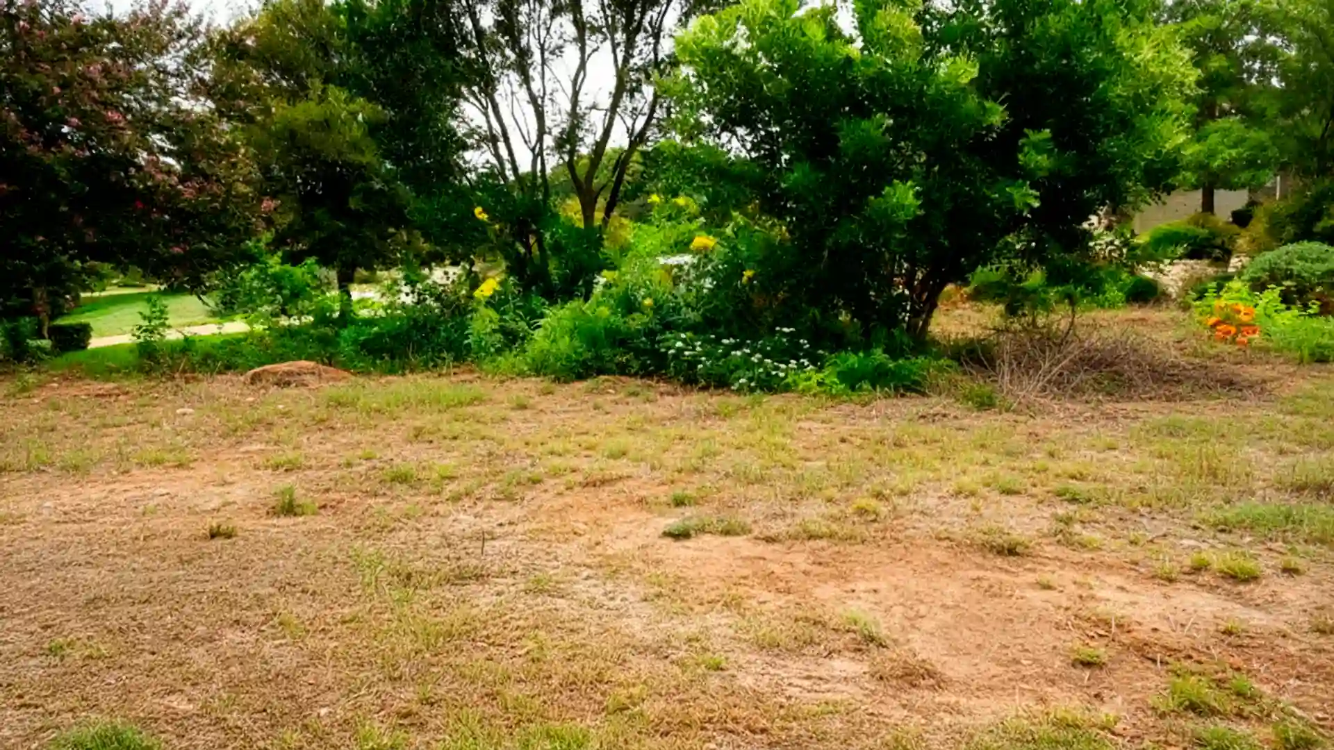 Gemini_Generated_Image_6t9k3x6t9k3x6t9k Gemini_Generated_Image_6t9k3x6t9k3x6t9k