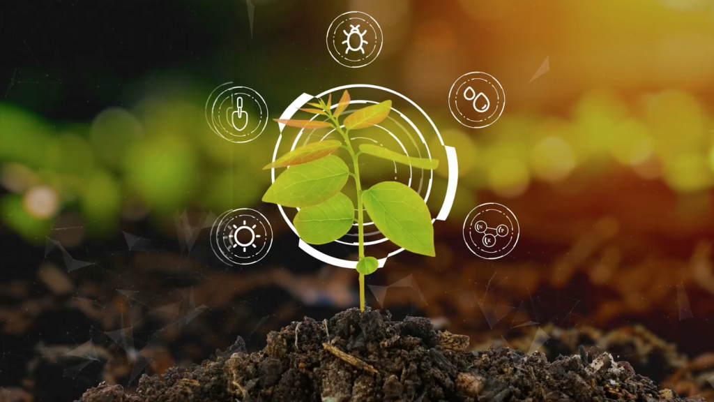 Sustainable Plant Selection in Austin.png