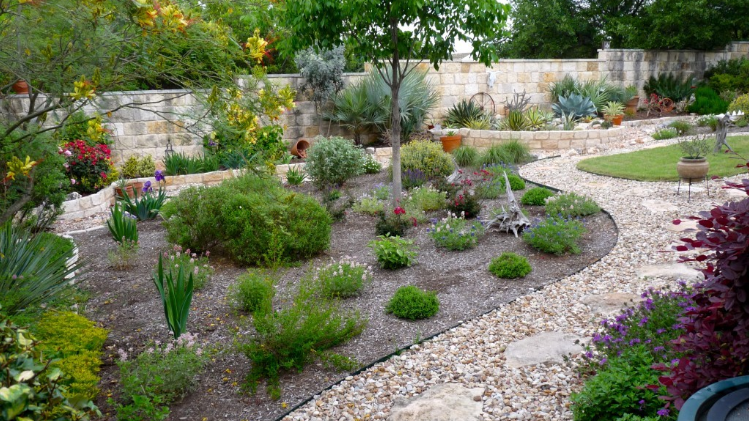 Beyond Watering: The Core Principles of Drought-Tolerant Design