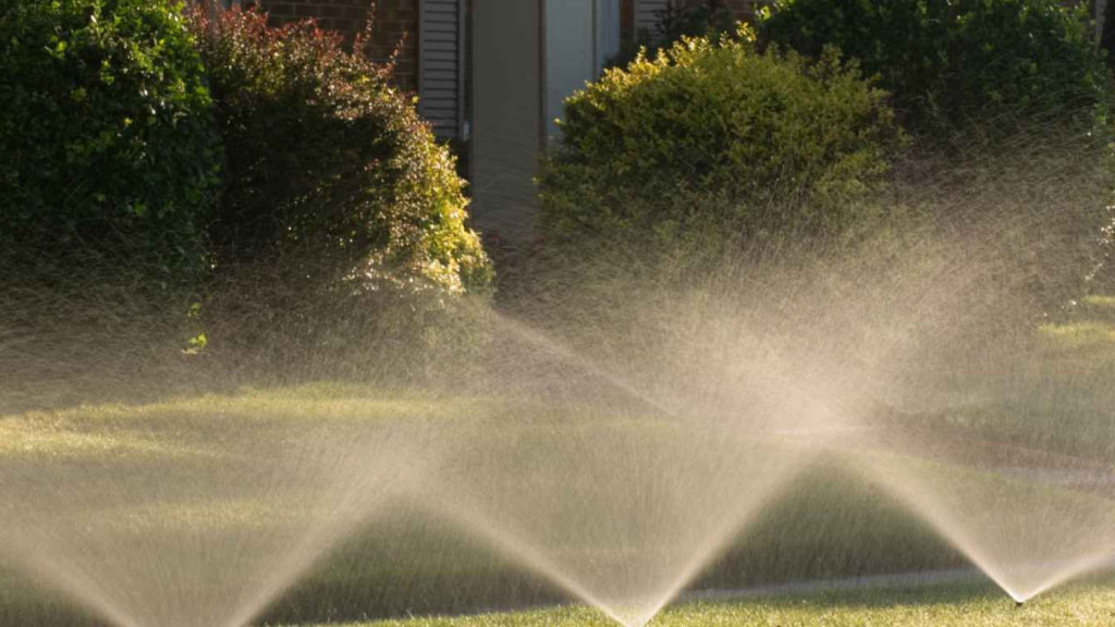 Irrigation Maintenance in Austin
