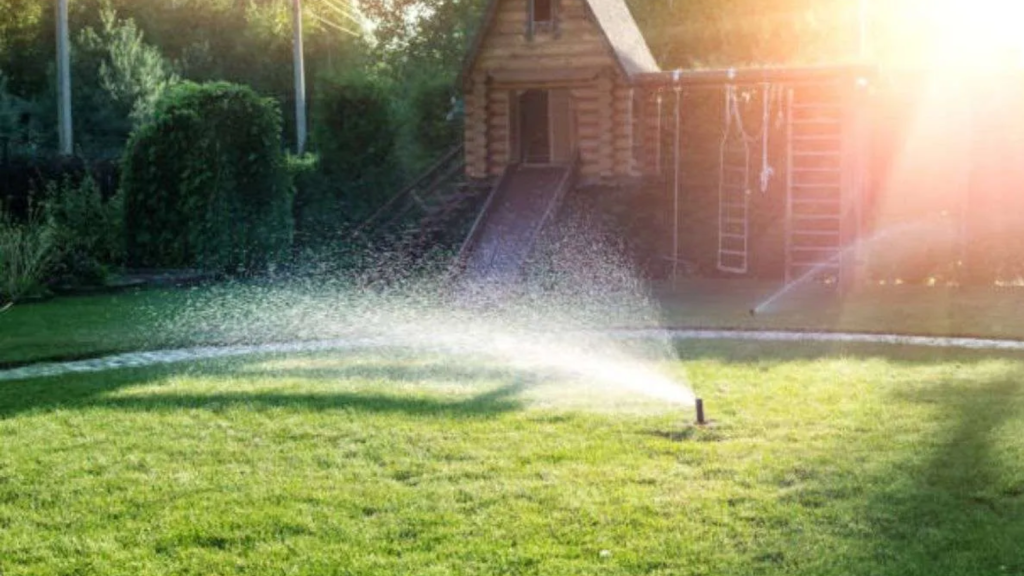 Sustainable Landscaping